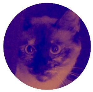 Meet your Posher, Shahrukh